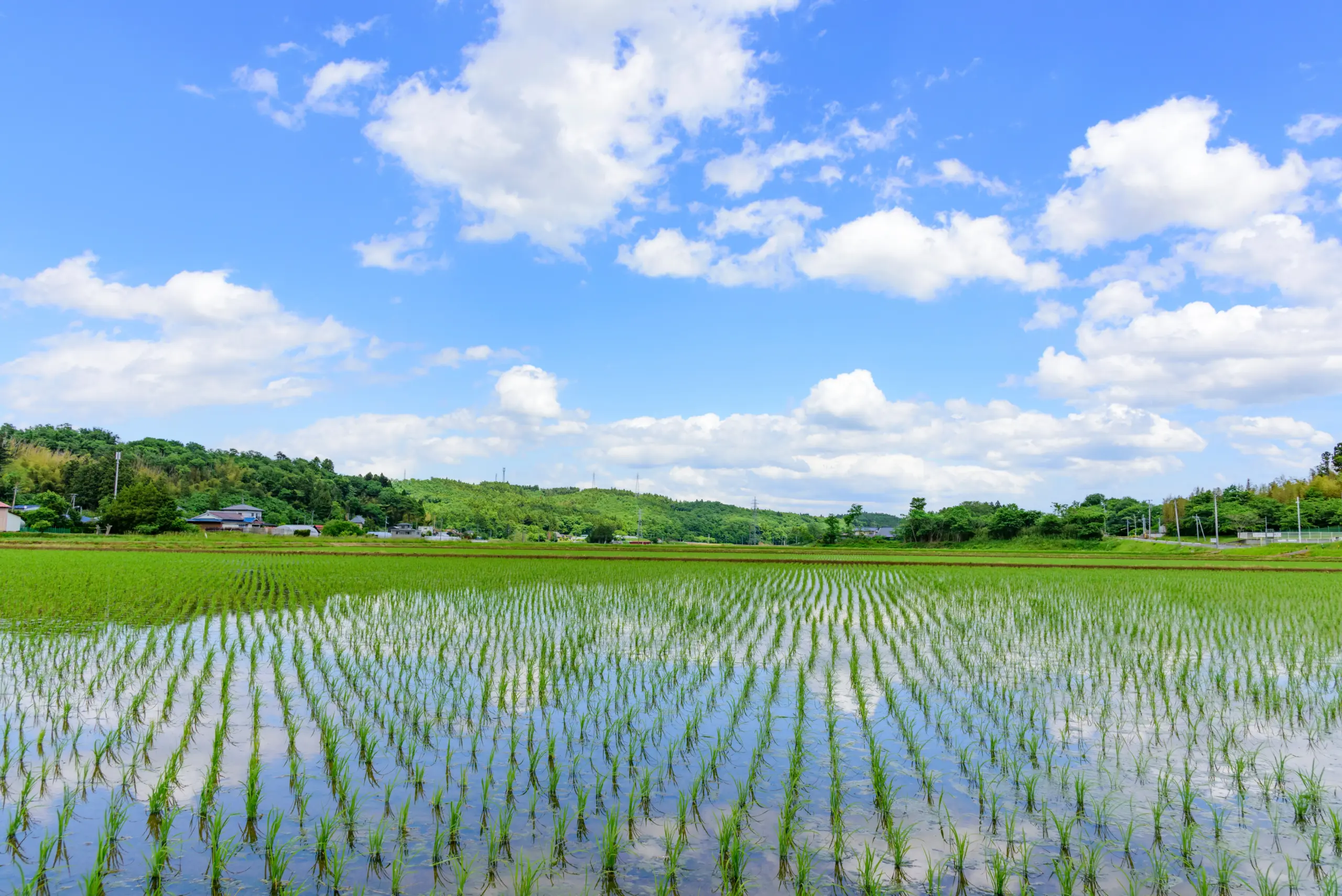 なぜ日本は“農薬大国”と呼ばれるのか？知っておきたい現実と、もう一つの選択肢