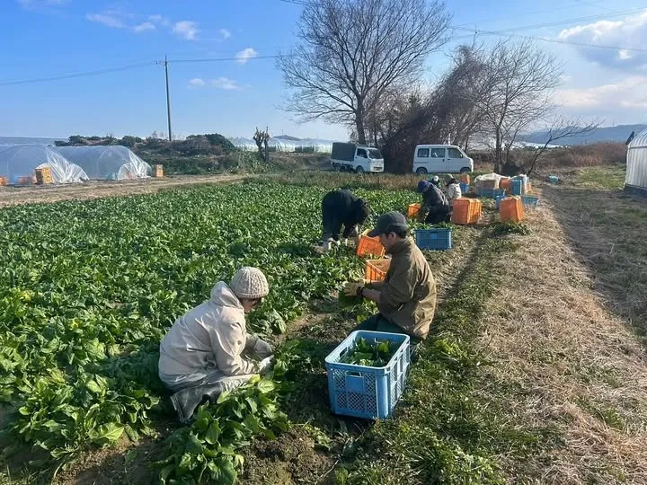 自然農法 若葉農園