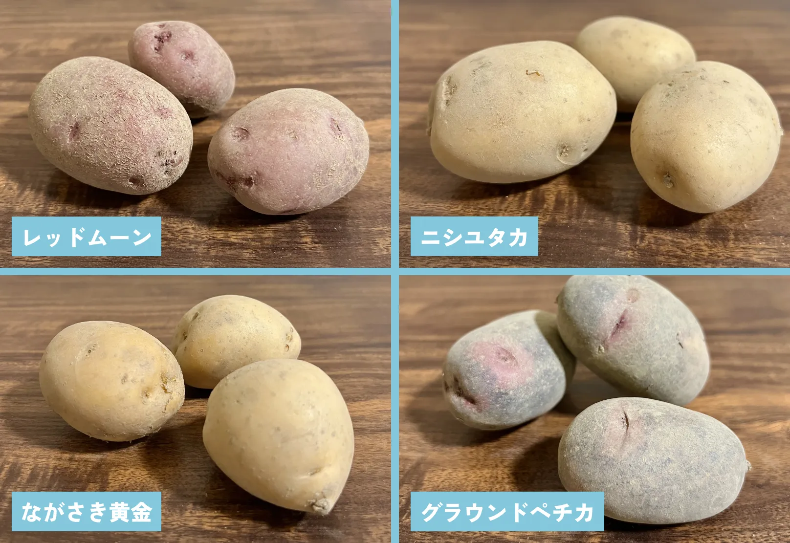 和泉農園の自然栽培ジャガイモ4品種を食べ比べてみた