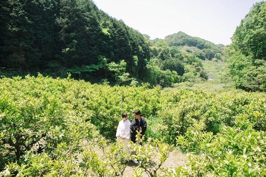 和泉農園
