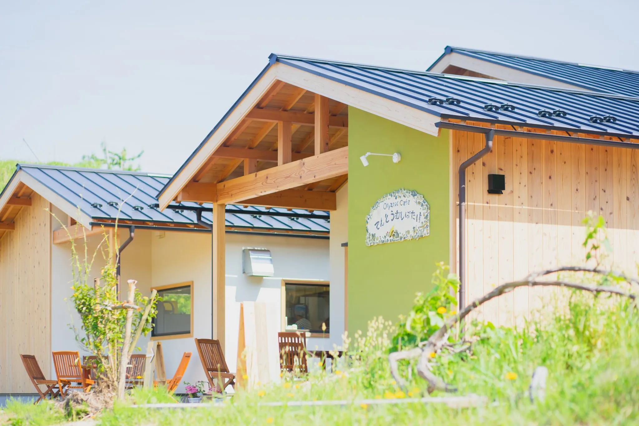 てんとうむしばたけ