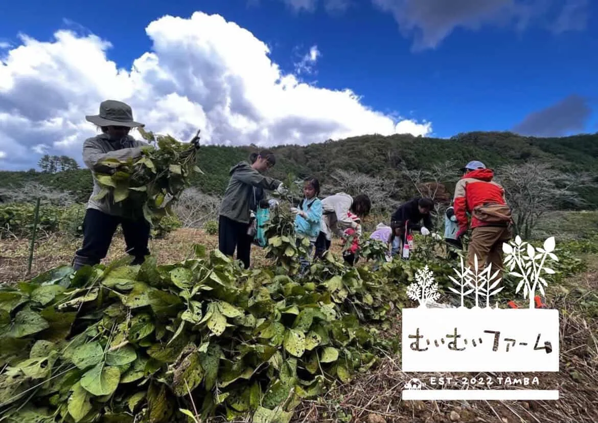 むいむいファーム