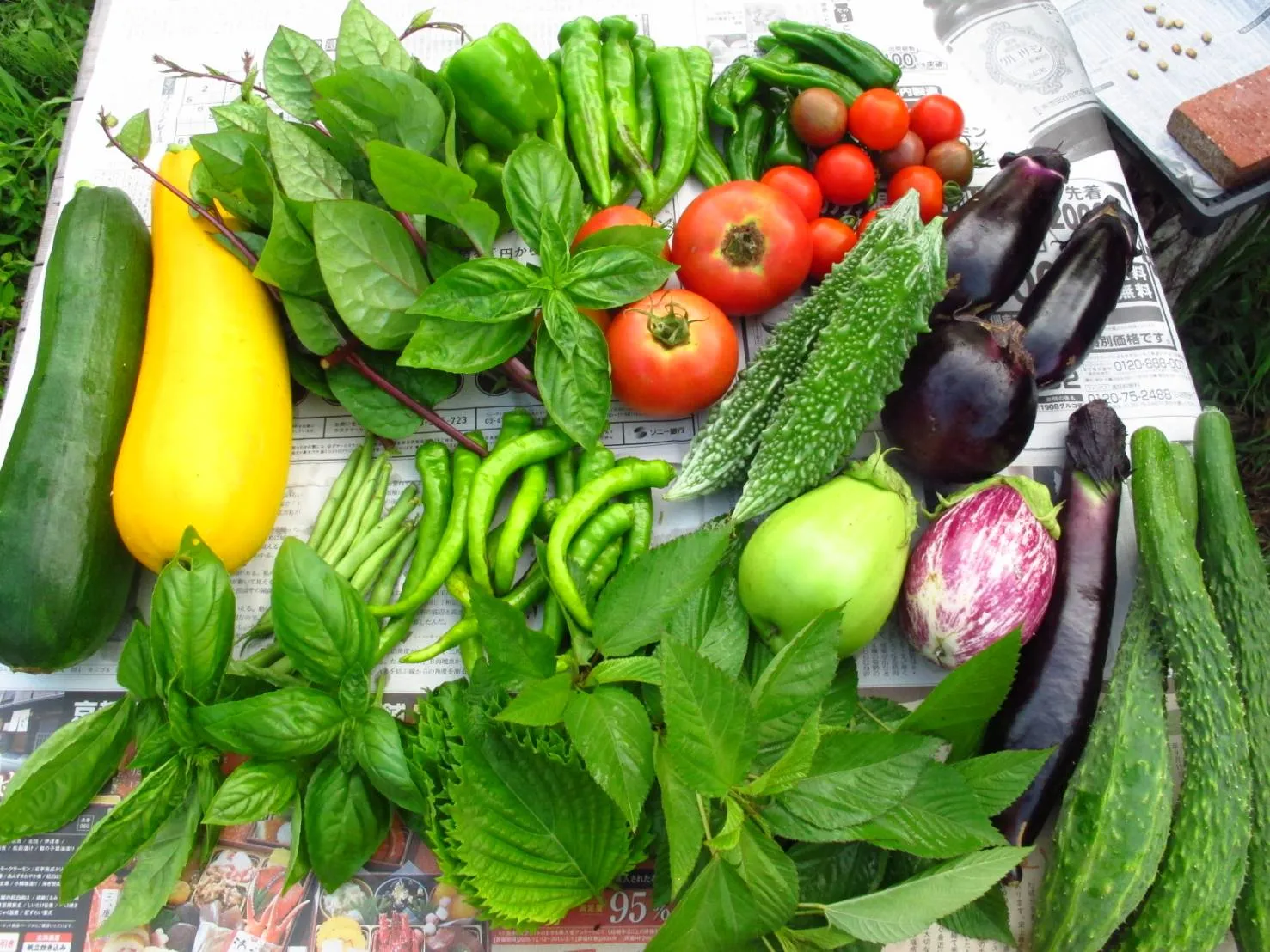 自然農 ささやき村農園