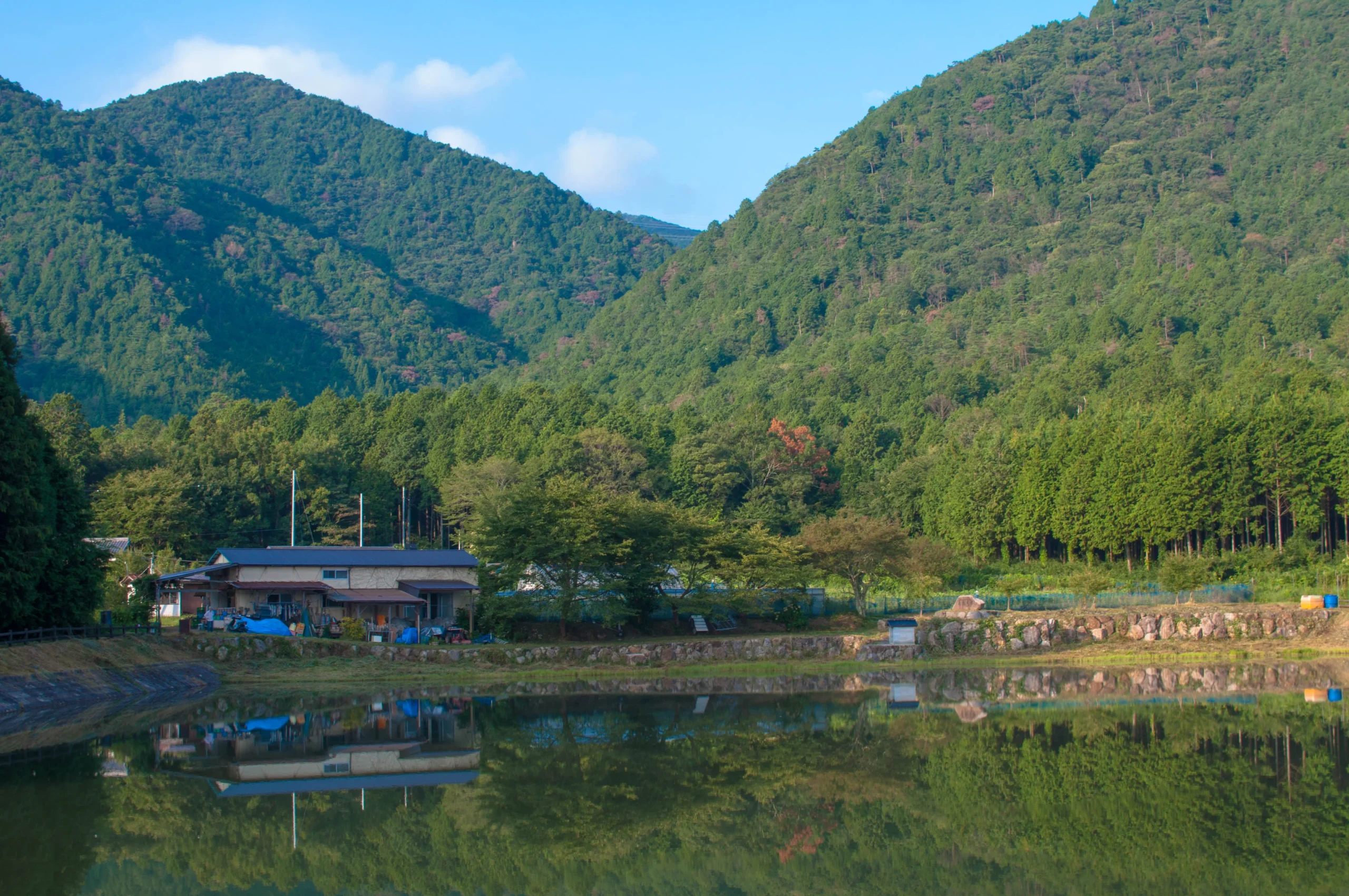 ポトンファーム